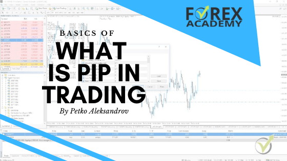 What is a Pip in Cryptocurrency Trading