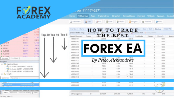 Forex EA – How to trade the best Expert Advisors