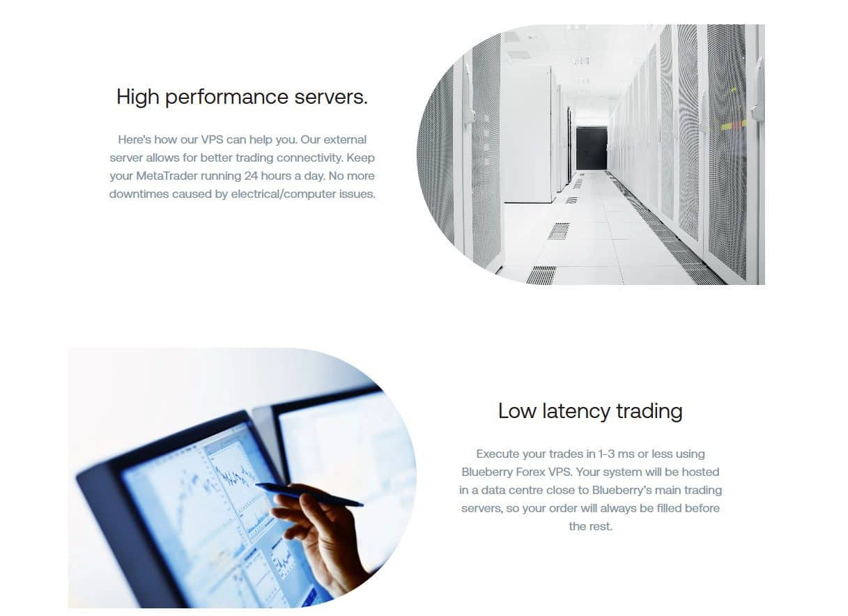 blueberry-markets-review-7